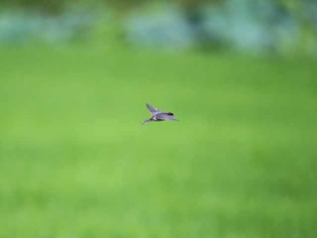 他人の心に土足で踏み込む